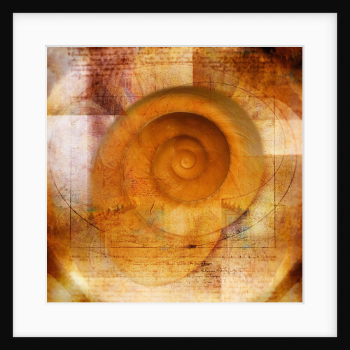 Snail Shell and Handwriting by Anonymous