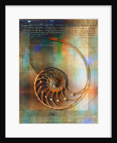 Seashell and Handwriting by Anonymous