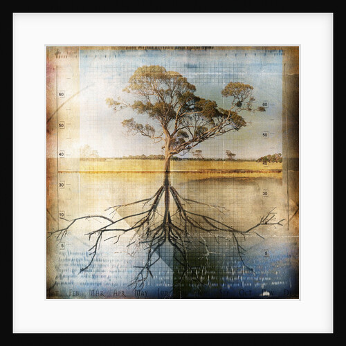 Graph of Tree and Roots by Anonymous