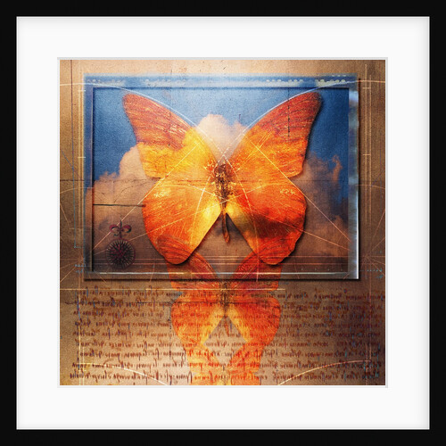 Overlaying Butterflies and Text by Anonymous