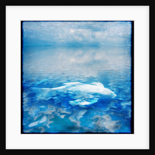 Koi and Water Reflections by Anonymous