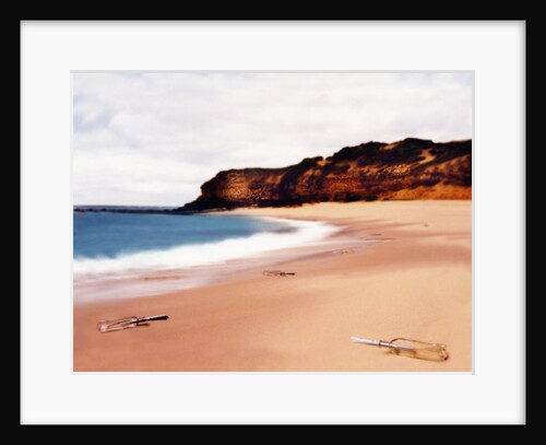 Messages in Bottles on Beach by Anonymous