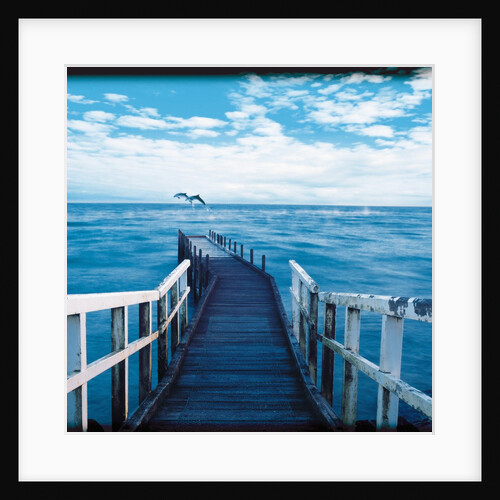 Pier and Dolphins by Anonymous