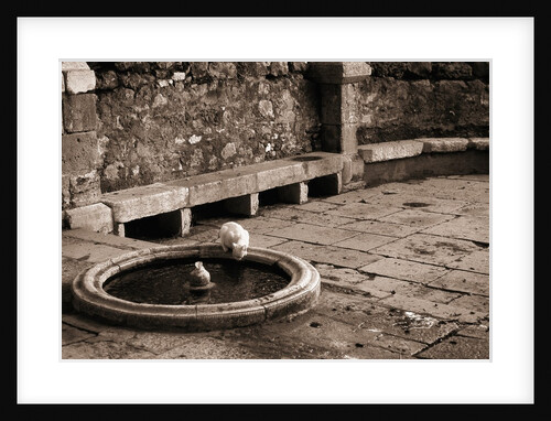 Cat Drinking From a Fountain by Anonymous
