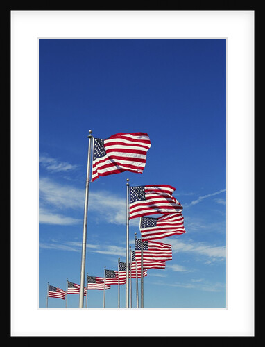 Flags at Washington Monument by Anonymous