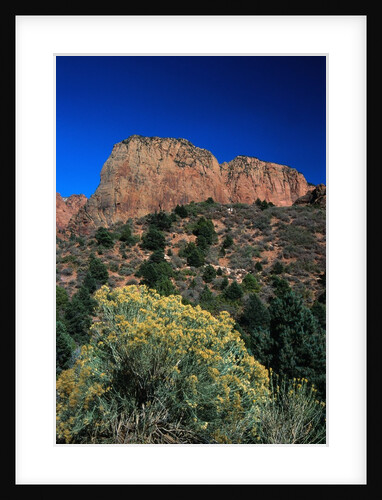 Canyons of Zion National Park by Anonymous
