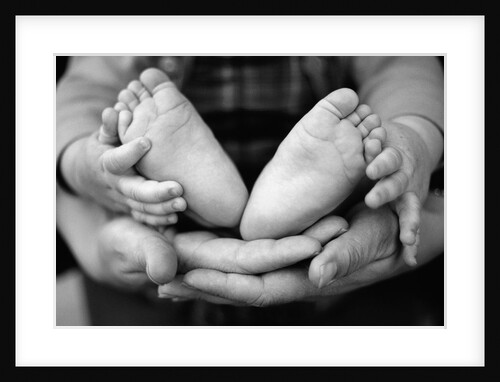 Parent and Baby's Hands and Feet by Anonymous