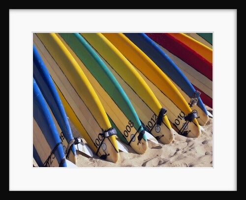 Row of Surfboards at Beach by Anonymous