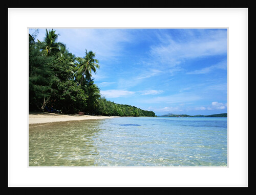 Tropical Coastline of Turtle Island by Anonymous