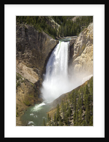 Lower Yellowstone Falls by Anonymous