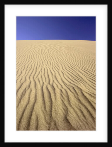 Windblown Sand Dune by Anonymous