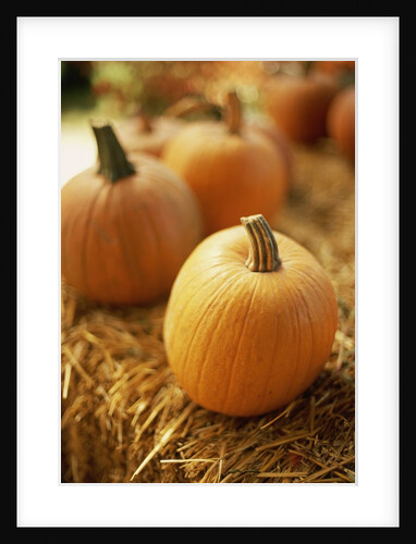 Pumpkins on Bale of Hay by Anonymous