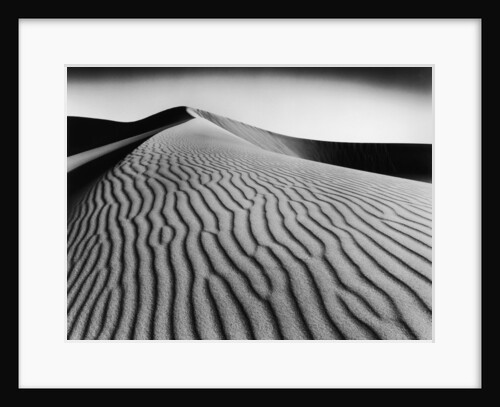 Nevada Desert Dunes by Anonymous
