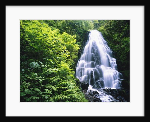 Waterfall in Silver Falls State Park by Anonymous