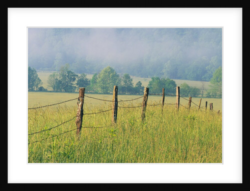 Rural Fence by Anonymous