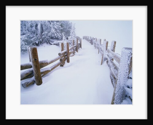Snow-covered Path in Crater Lake National Park by Anonymous