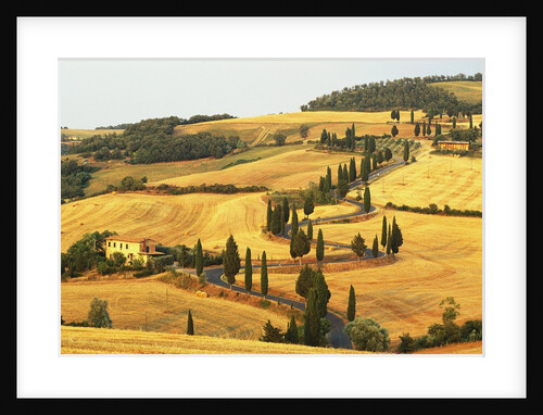 Italian Countryside of Val d'Orcia by Anonymous