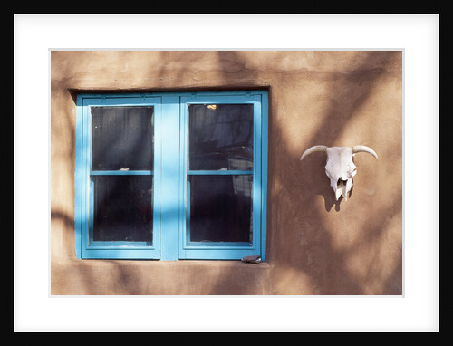Skull and Window on Adobe Building by Anonymous