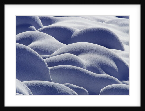 Snowy Mounds in Yellowstone National Park by Anonymous