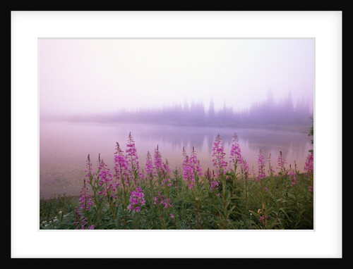 Reflection Lake at Sunrise by Anonymous