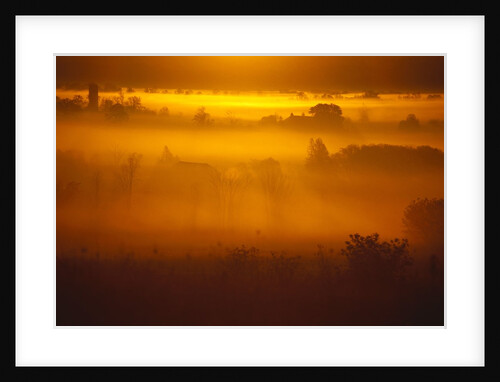 Early Morning Mist by Anonymous