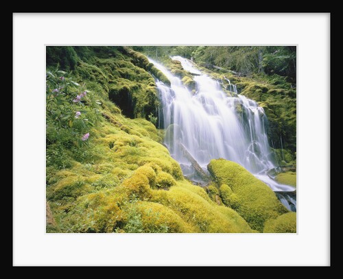 Proxy Falls by Anonymous