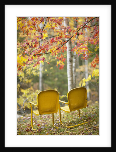 Yellow Chairs and Fall Foliage by Anonymous
