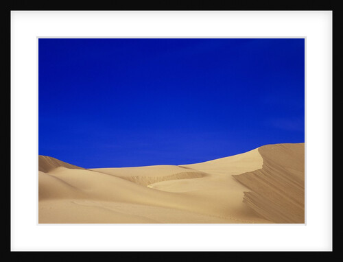 Sand Dunes by Anonymous