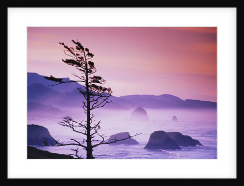 Sunrise Along Ecola State Park by Anonymous