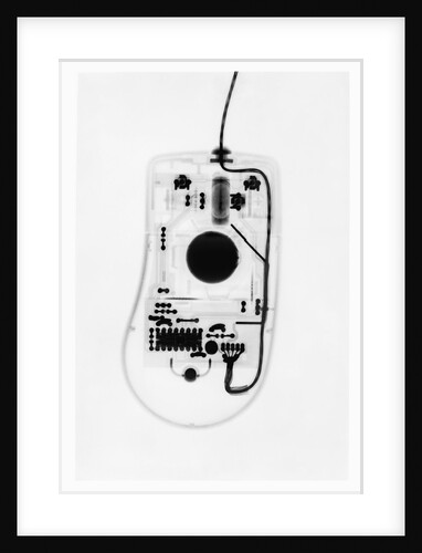 X-Ray of a Computer Mouse by Anonymous