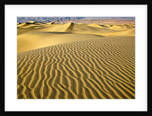 Sand Dunes by Anonymous