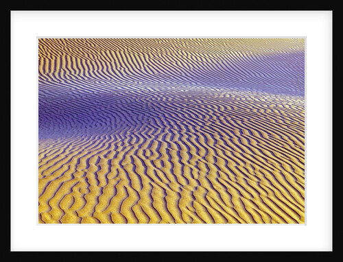 Purple Sand Dunes by Anonymous