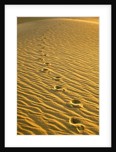 Footprints in Sand Dunes by Anonymous