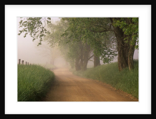 Fog Over Rural Road in Great Smoky Mountains by Anonymous