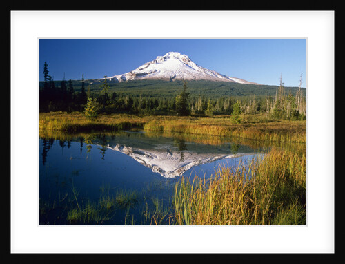 Mount Hood Reflected in Pond by Anonymous