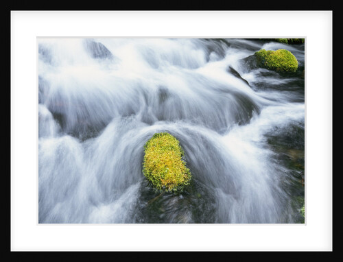 Mossy Rock in Stream by Anonymous