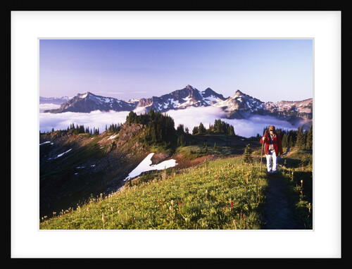 Tatoosh Range from Skyline Trail by Anonymous