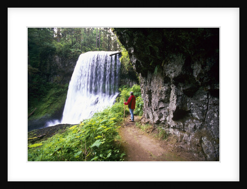 Hiker Looking at Waterfall by Anonymous