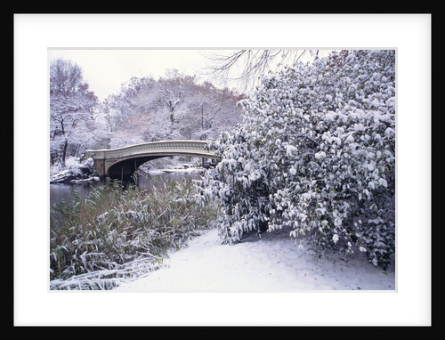 Snow at Bow Bridge in Central Park by Anonymous