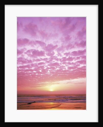 Pink Sunset Over Heceta Beach by Anonymous
