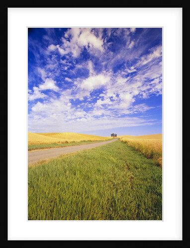 Wispy Clouds Floating over Farm Fields by Anonymous