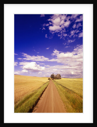 Dirt Road Stretching Under Cloudy Skies by Anonymous