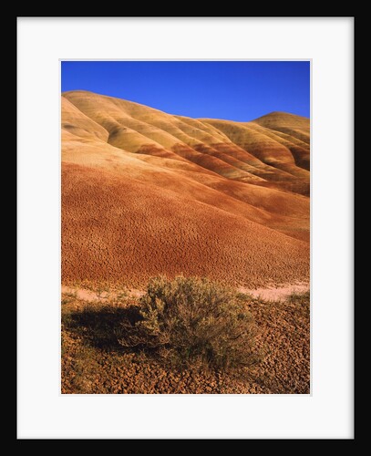 Oregon's Painted Hills by Anonymous
