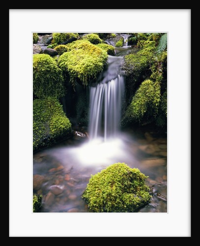 Mossy Rocks and Creek Waterfall by Anonymous