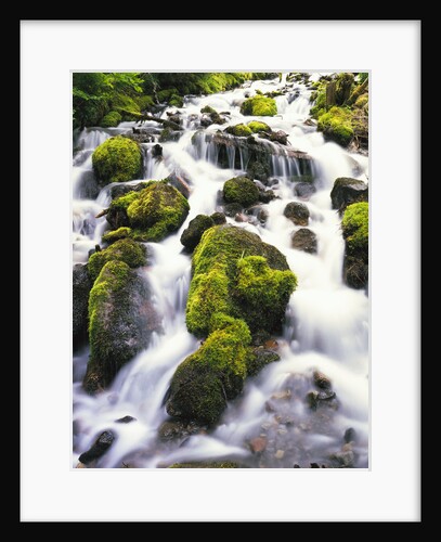 Mossy Rocks in Rushing Stream by Anonymous