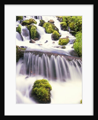 Mossy Rocks in Rushing Stream by Anonymous