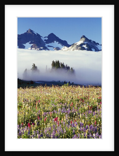 Flower Field Before Foggy Mountains by Anonymous