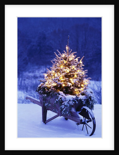 Lighted Christmas Tree in Wheelbarrow by Anonymous