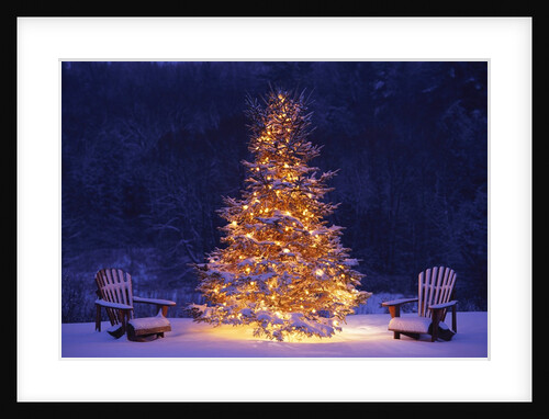 Snow Covering Adirondack Chairs by Lit Christmas Tree by Anonymous