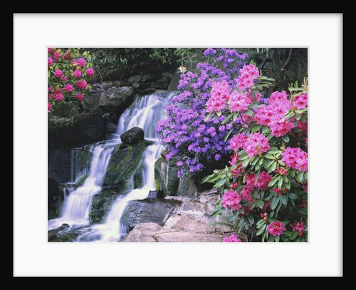 Waterfall in Crystal Springs Garden by Anonymous